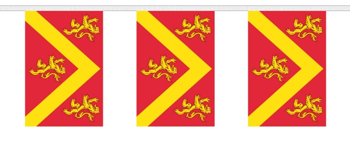 ANGLESEY BUNTING 9 metres 30 flags