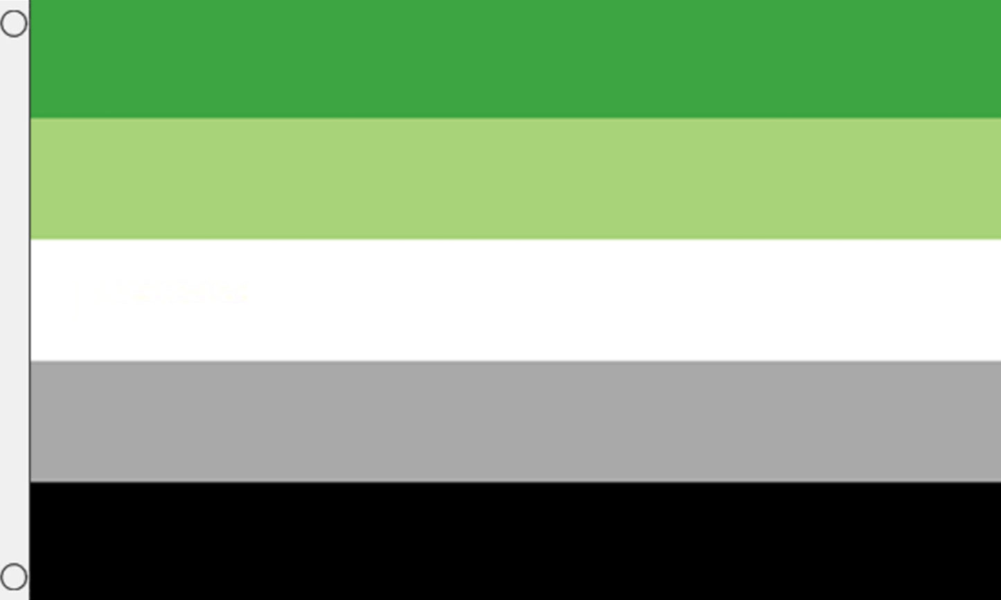 AROMANTIC 5x3 feet FLAG 150cm x 90cm flags PRIDE LIFESTYLE