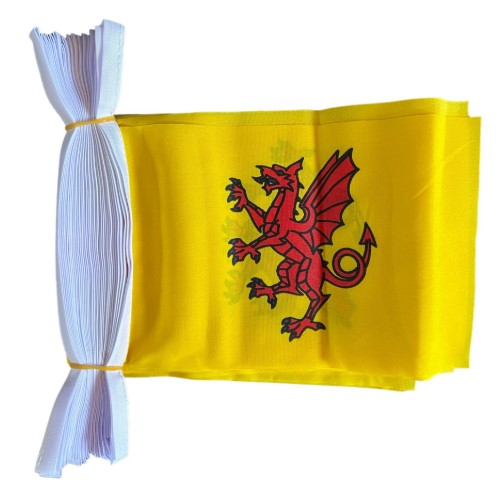 SOMERSET NEW STYLE BUNTING 9 metres 30 flags Polyester flag UK