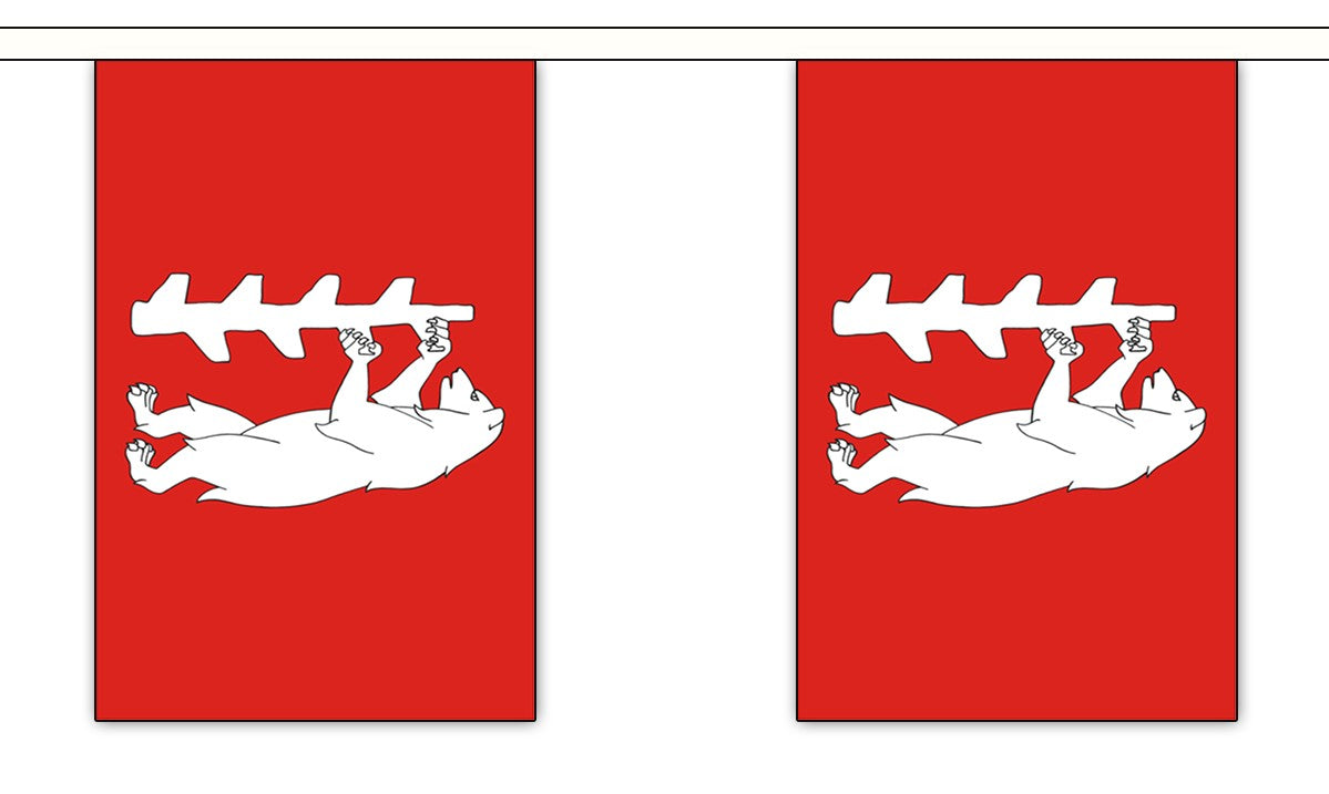 WARWICKSHIRE NEW 9 METRE BUNTING 30 FLAGS flag 22cm x 15cm