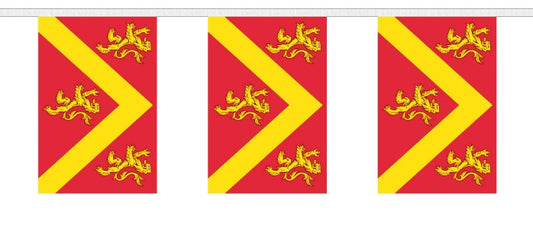 ANGLESEY BUNTING 9 metres 30 flags