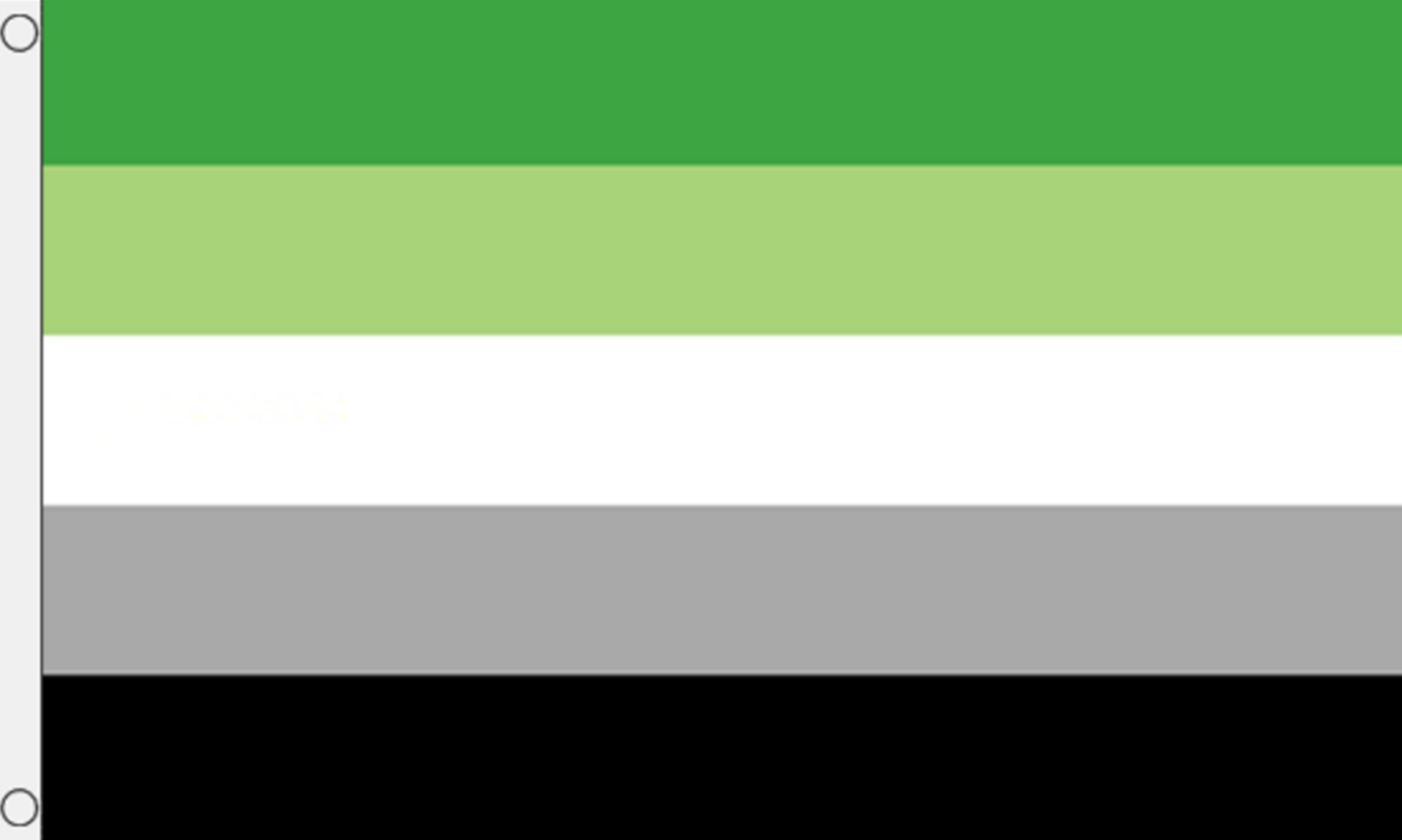 AROMANTIC 5x3 feet FLAG 150cm x 90cm flags PRIDE LIFESTYLE