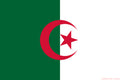 ALGERIA FLAG 3x2 feet polyester 90cm x 60cm flags ALGERIAN