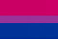 BI PRIDE FLAG 3x2 feet polyester 90cm x 60cm flags LGBTQ