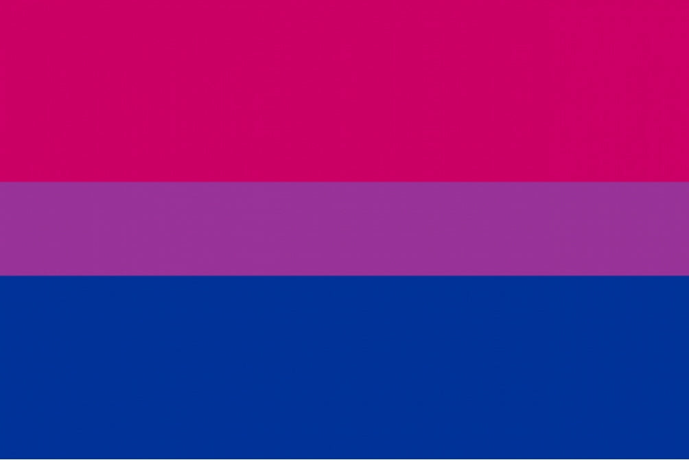 BI PRIDE FLAG 3x2 feet polyester 90cm x 60cm flags LGBTQ