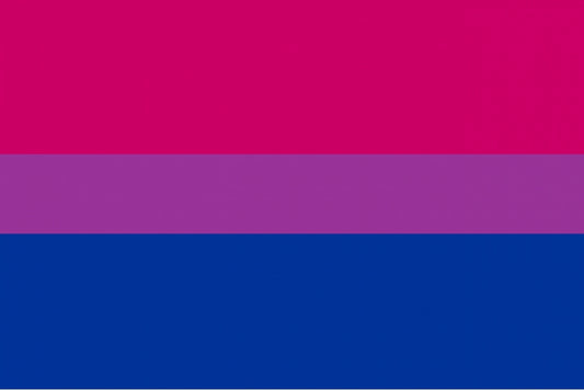 BI PRIDE FLAG 3x2 feet polyester 90cm x 60cm flags LGBTQ