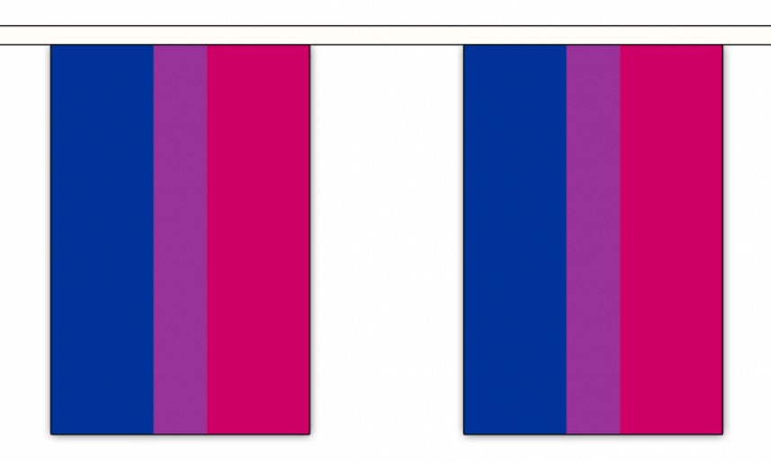 BI PRIDE 3 METRE BUNTING 10 FLAGS flag 3M LGBT GAY PRIDE BISEXUAL