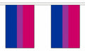 BI PRIDE 9 METRE BUNTING 30 FLAGS flag 22cm x 15cm LGBTQ