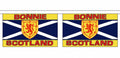 BONNIE SCOTLAND 3 METRE BUNTING 10 FLAGS flag 3M Scottish