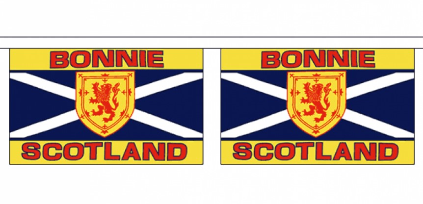 BONNIE SCOTLAND 3 METRE BUNTING 10 FLAGS flag 3M Scottish