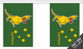 AUSTRALIA BOXING KANGAROO 3 METRE BUNTING 10 FLAGS flag 3M