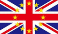 BRITAIN IN EUROPE 5x3 feet FLAG 150cm x 90cm European Union Brexit remainer