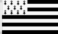 BRITTANY FRANCE FLAG 3x2 feet polyester 90cm x 60cm flags