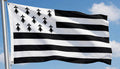 BRITTANY LARGE FLAG 8 X 5 FEET flags Bretons FRANCE French Celtic nations