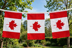 CANADA FLAG BUNTING 3 METRES 10 FLAGS