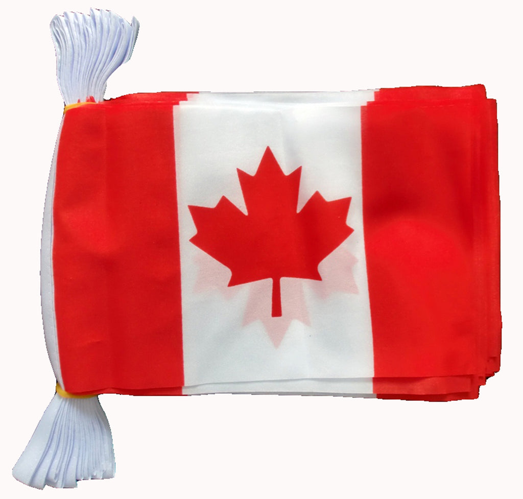CANADA FLAG BUNTING 3 METRES 10 FLAGS