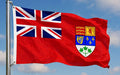 CANADA WORLD WAR II FLAG 150cm x 90cm (5x3 feet)