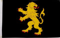 CEREDIGION West Wales Aberystwyth 5x3 feet FLAG 150cm x 90cm welsh