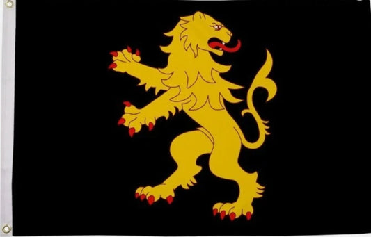 CEREDIGION West Wales Aberystwyth 5x3 feet FLAG 150cm x 90cm welsh