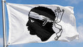 CORSICA LARGE FLAG 8 X 5 FEET flags FRANCE FRENCH Ajaccio Calvi Corsican