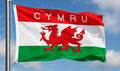 CYMRU Wales DURAFLAG 150cm x 90cm 5x3 FEET HIGH QUALITY FLAG ROPE & TOGGLE