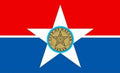 DALLAS Texas USA STATE 5x3 feet FLAG 150cm x 90cm
