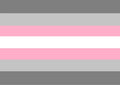 DEMI GIRL 5x3 feet FLAG 150cm x 90cm PRIDE LGBGT