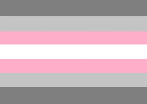 DEMI GIRL 5x3 feet FLAG 150cm x 90cm PRIDE LGBGT