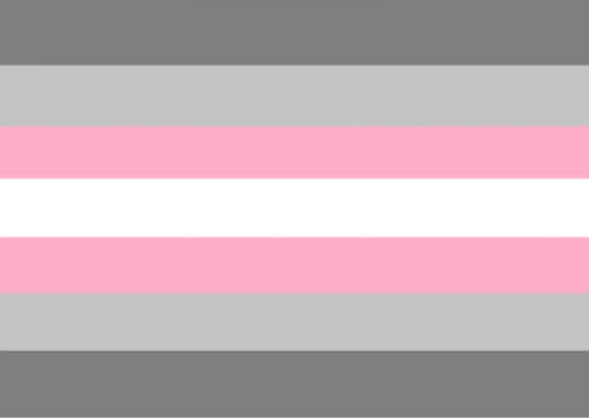 DEMI GIRL 5x3 feet FLAG 150cm x 90cm PRIDE LGBGT