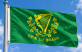 ERIN GO BRAGH 3 X 2 FEET FLAG Ireland forever Eire American civil war Irish