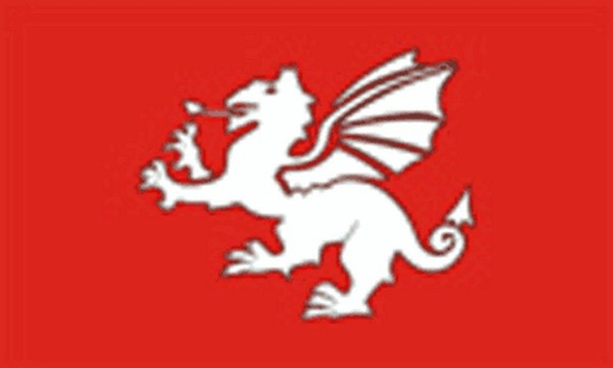 ENGLISH WHITE DRAGON (c) 18" x 12" 45cm x 30cm Courtesy flag boats ENGLAND flags