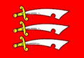 ESSEX FLAG 3X2 feet 90cm x 60cm FLAGS