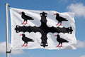 FLINTSHIRE county flag WALES 5X3 Flint Mold flags Welsh