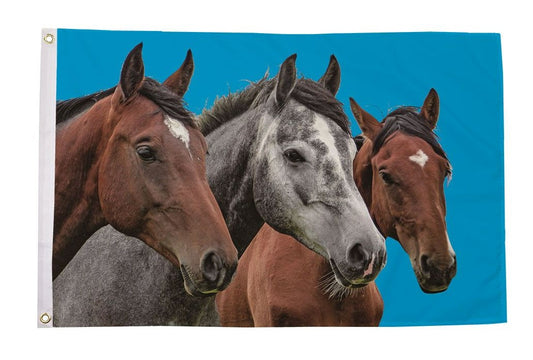 HORSES Riding showjumping 150cm x 90cm 5x3 feet SCREEN PRINTED FLAG
