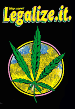 LEGALISE IT 150cm x 90cm 5x3 feet SCREEN PRINTED FLAG RASTA