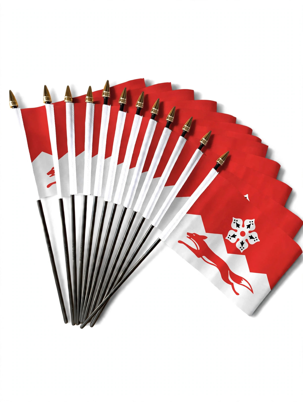 LEICESTERSHIRE NEW DESIGN SMALL HAND FLAGS Pack of 12