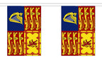 ROYAL STANDARD Elizabeth II 9 METRE BUNTING 30 FLAGS flag 22cm x 15cm