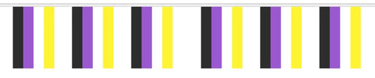 NON BINARY BUNTING 9 metres 30 flags
