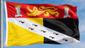 NORFOLK WITH CREST 5x3 feet FLAG 150cm x 90cm