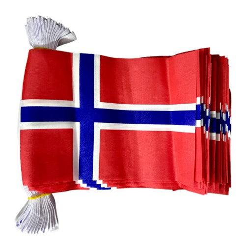 NORWAY FLAG BUNTING 9 METRES 30 FLAGS Norwegian OSLO BERGEN TRONDHEIM STAVANGER