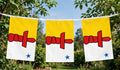 NUNAVUT 9 METRE BUNTING 30 FLAGS