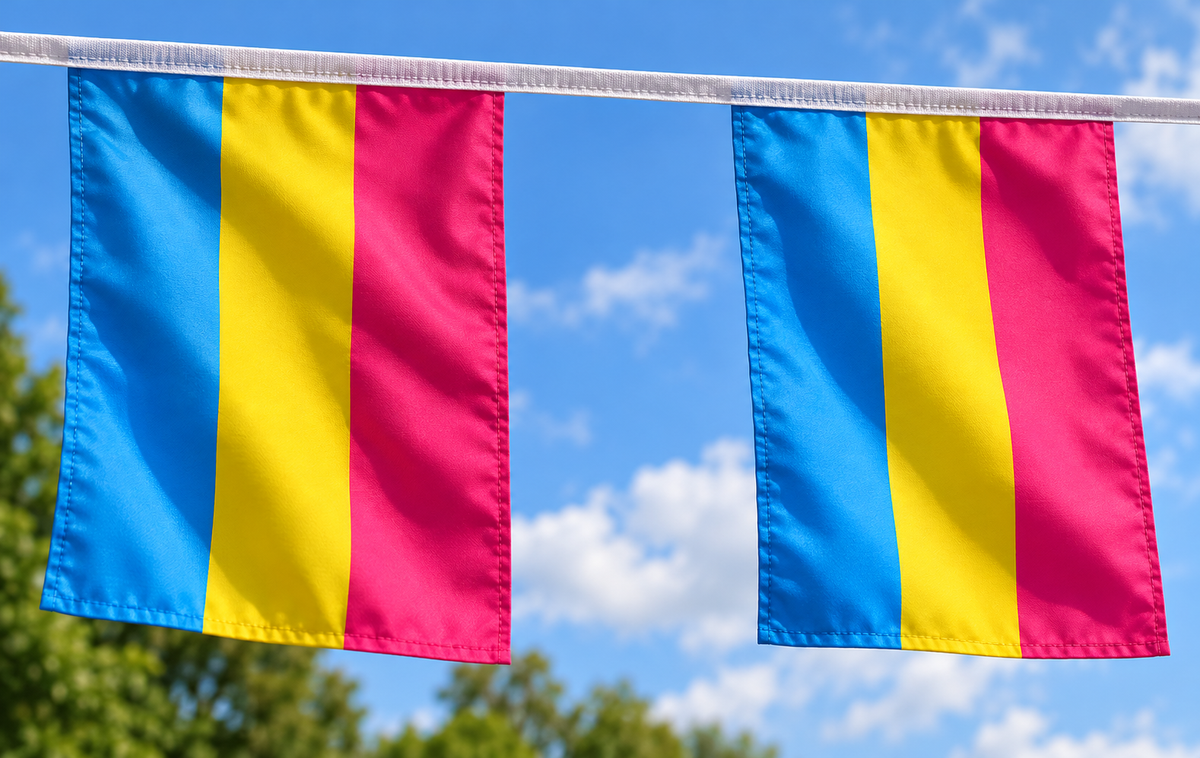 PANSEXUAL BUNTING 9 metres 30 flags Polyester flag PRIDE