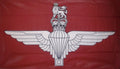 PARACHUTE REGIMENT FLAG 3X2 feet 90cm x 60cm FLAGS THE PARAS BRITISH ARMY