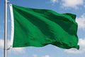 PLAIN GREEN FLAG 150cm x 90cm (5x3 feet)