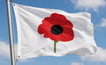 POPPY FLAG Remembrance 150cm x 90cm (5x3 feet)