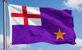 NORTHERN IRELAND PURPLE STANDARD FLAG 150cm x 90cm (5x3 feet)