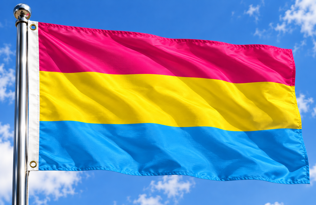 PANSEXUAL 5x3 feet FLAG 150cm x 90cm flags GAY PRIDE LIFESTYLE