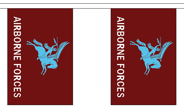 PEGASUS AIRBORNE FORCES British Military 3 METRE BUNTING 10 FLAGS flag 3M