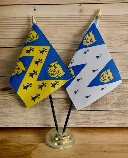 SHROPSHIRE old and new design TABLE FLAG SET 2 flags plus BASE 26cm tall