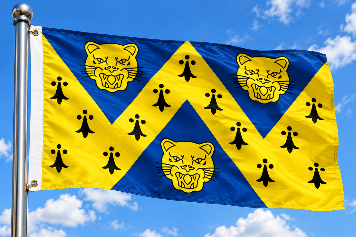 SHROPSHIRE NEW DESIGN 5 X 3 FEET FLAG polyester fabric SHREWSBURY TELFORD